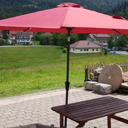 Ziegler- Sonnenschein Apartament