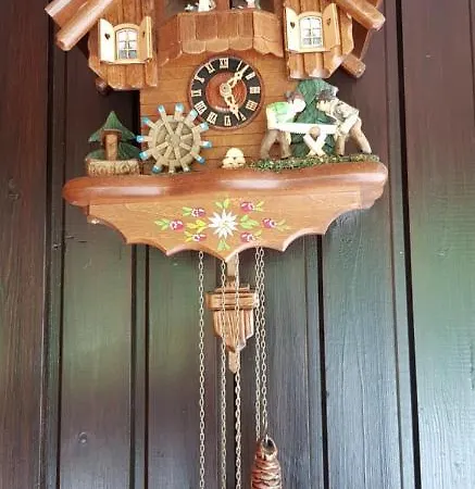 Ziegler- Sonnenschein *