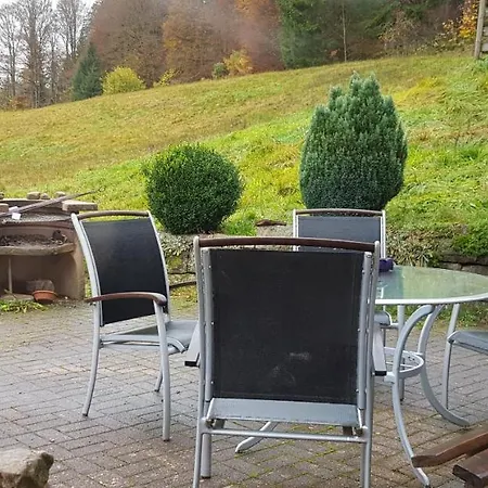 Ziegler- Sonnenschein Baiersbronn