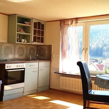 Apartament Ziegler- Sonnenschein *
