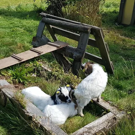 Appartement Ziegler- Sonnenschein Baiersbronn