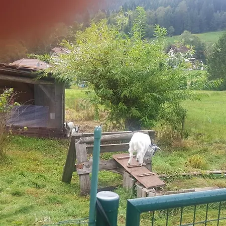 Ziegler- Sonnenschein Appartement Baiersbronn