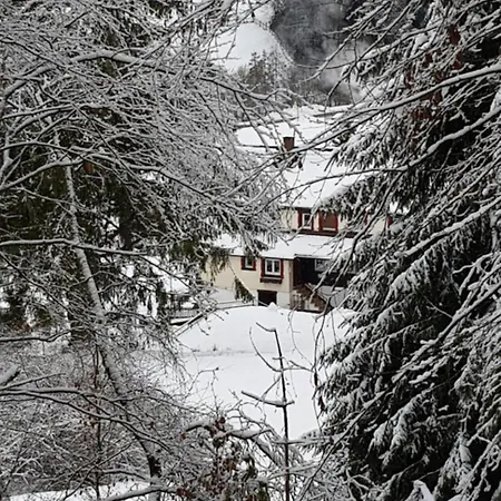 Ziegler- Sonnenschein Appartement