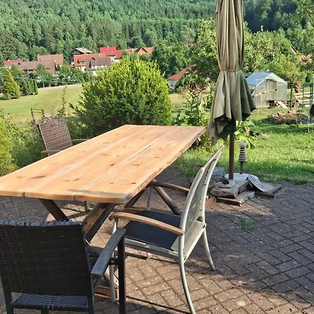 Ziegler- Sonnenschein Apartament *