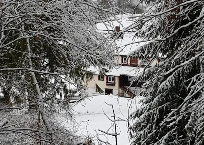 Ziegler- Sonnenschein Appartamento