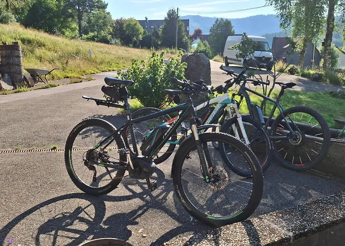 Ziegler- Sonnenschein *