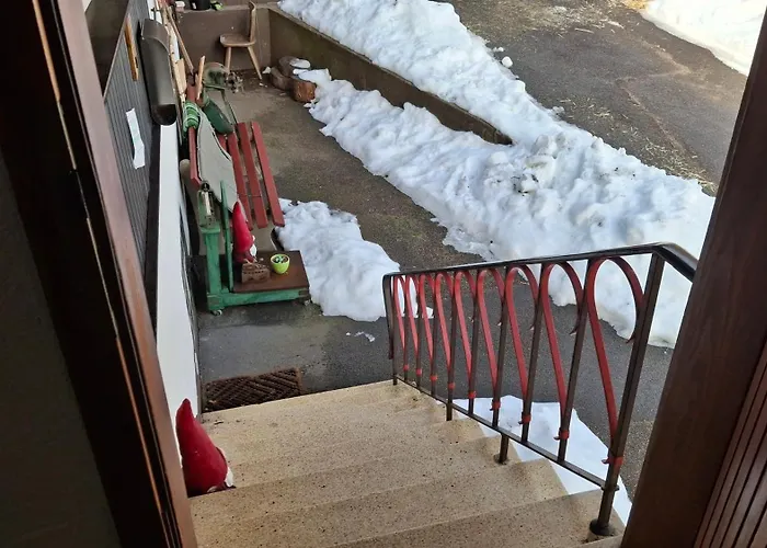 Ziegler- Sonnenschein * Baiersbronn