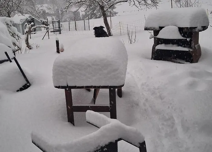 Ziegler- Sonnenschein Appartamento